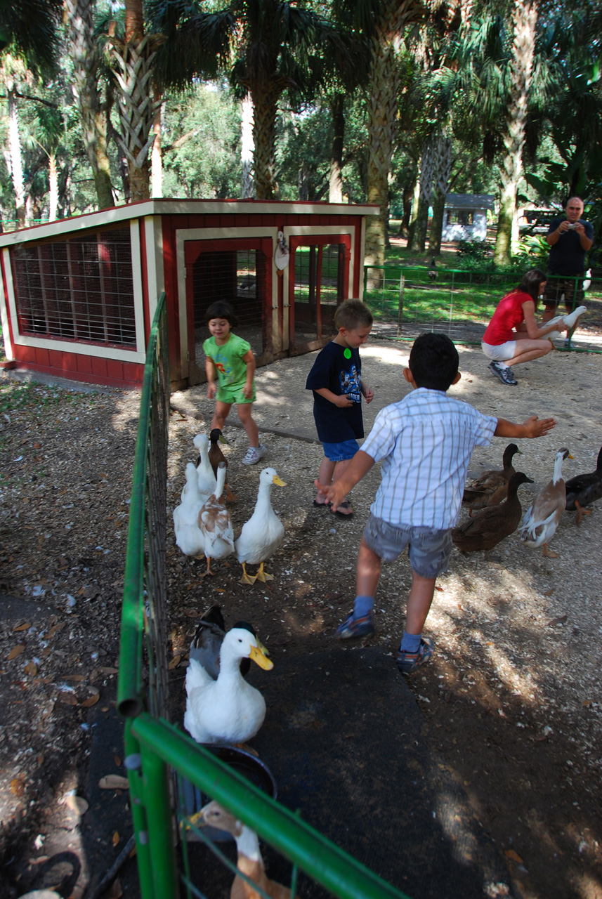 08-12-29, 099, Green Meadows Farm, Fla