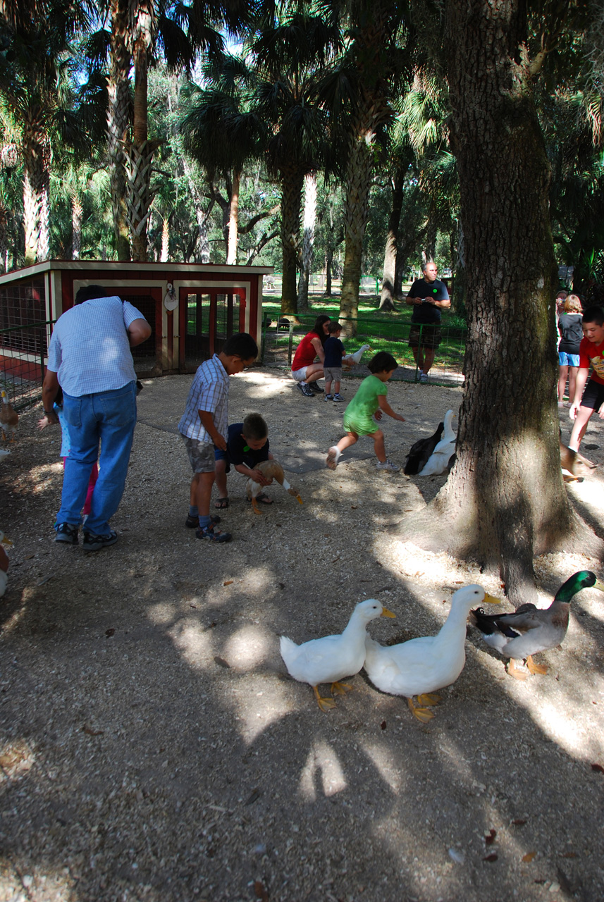 08-12-29, 101, Green Meadows Farm, Fla