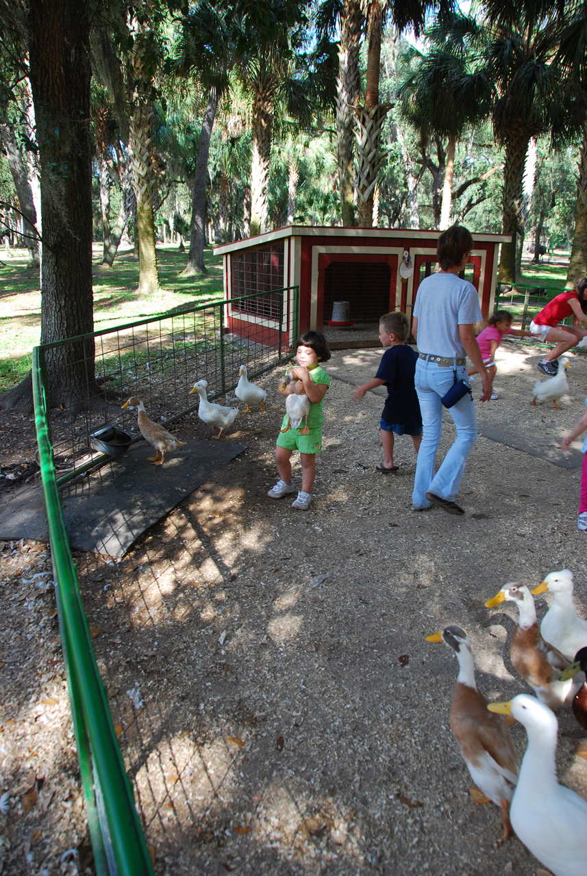 08-12-29, 103, Green Meadows Farm, Fla