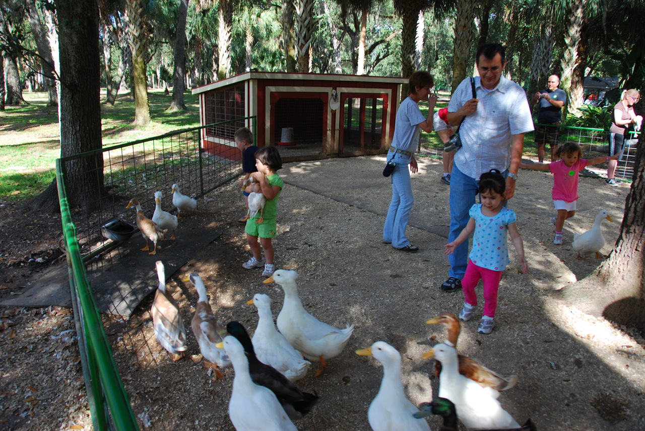 08-12-29, 104, Green Meadows Farm, Fla