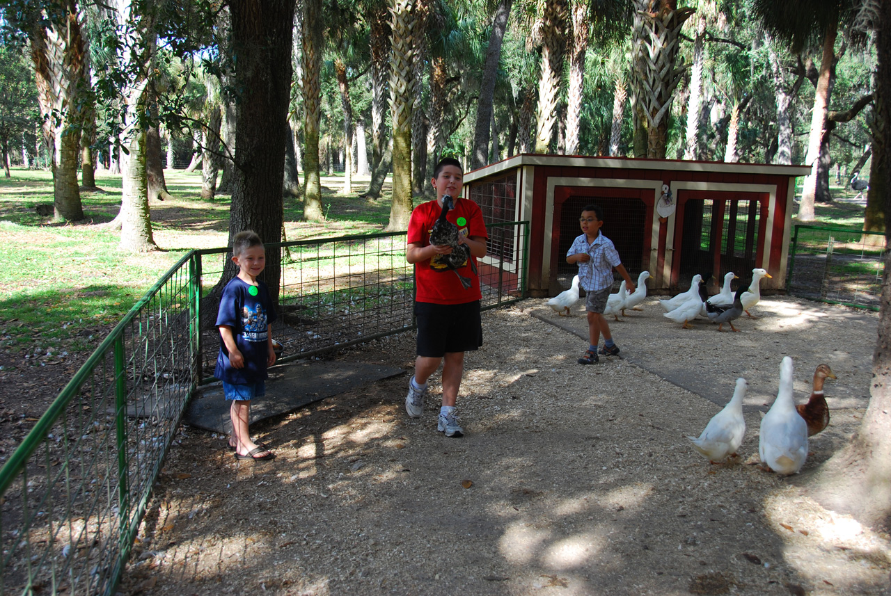 08-12-29, 106, Green Meadows Farm, Fla