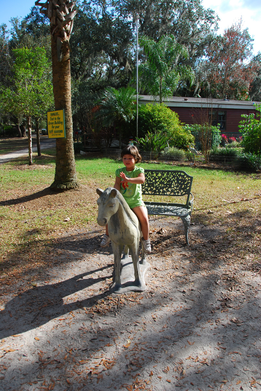 08-12-29, 123, Green Meadows Farm, Fla