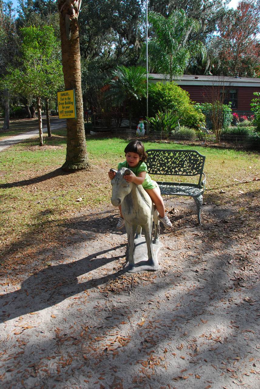 08-12-29, 124, Green Meadows Farm, Fla