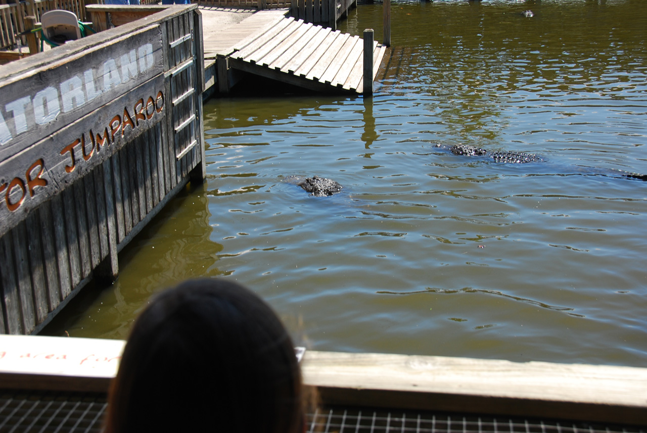 2009-04-07, 012, Gatorland, Florida