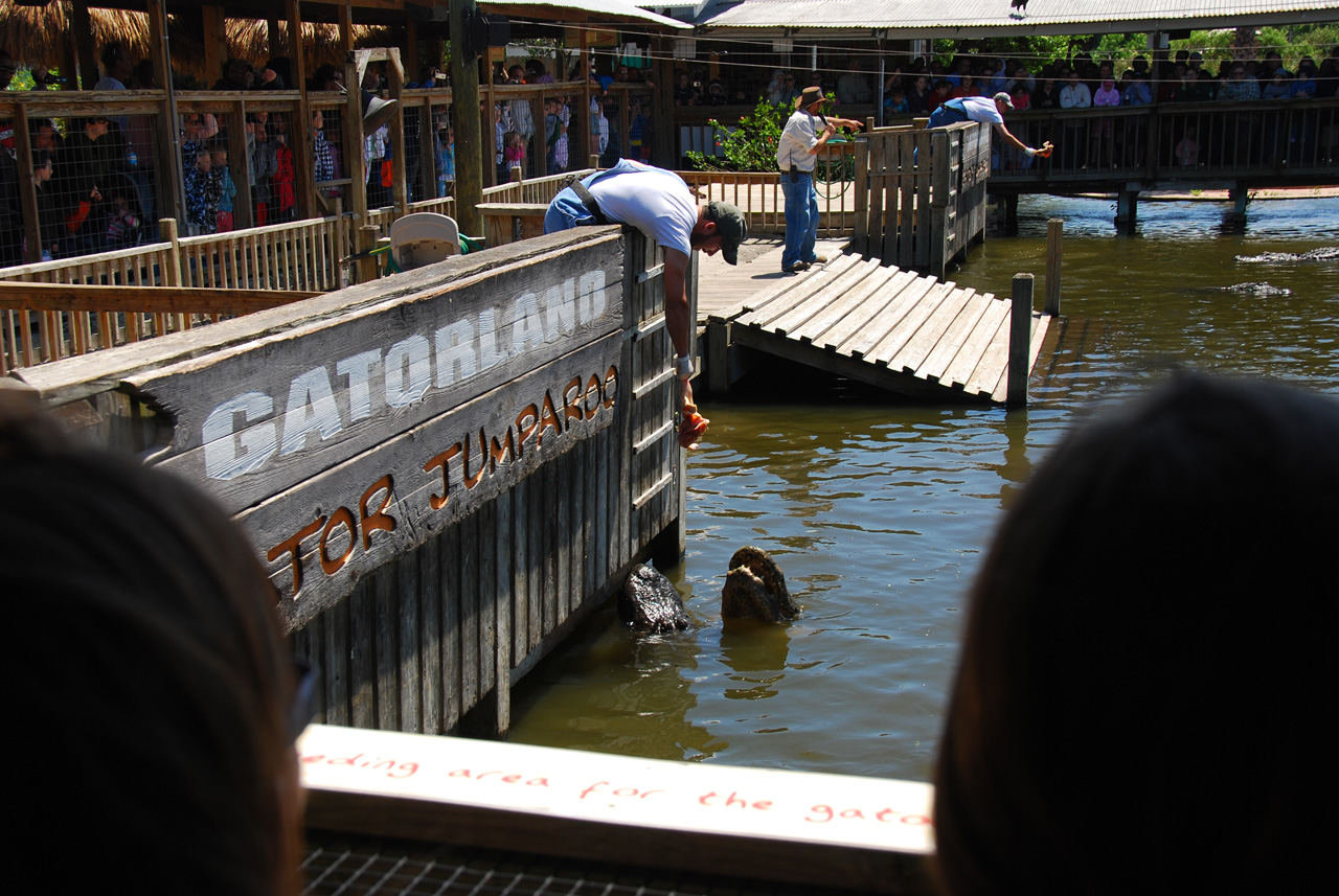 2009-04-07, 017, Gatorland, Florida