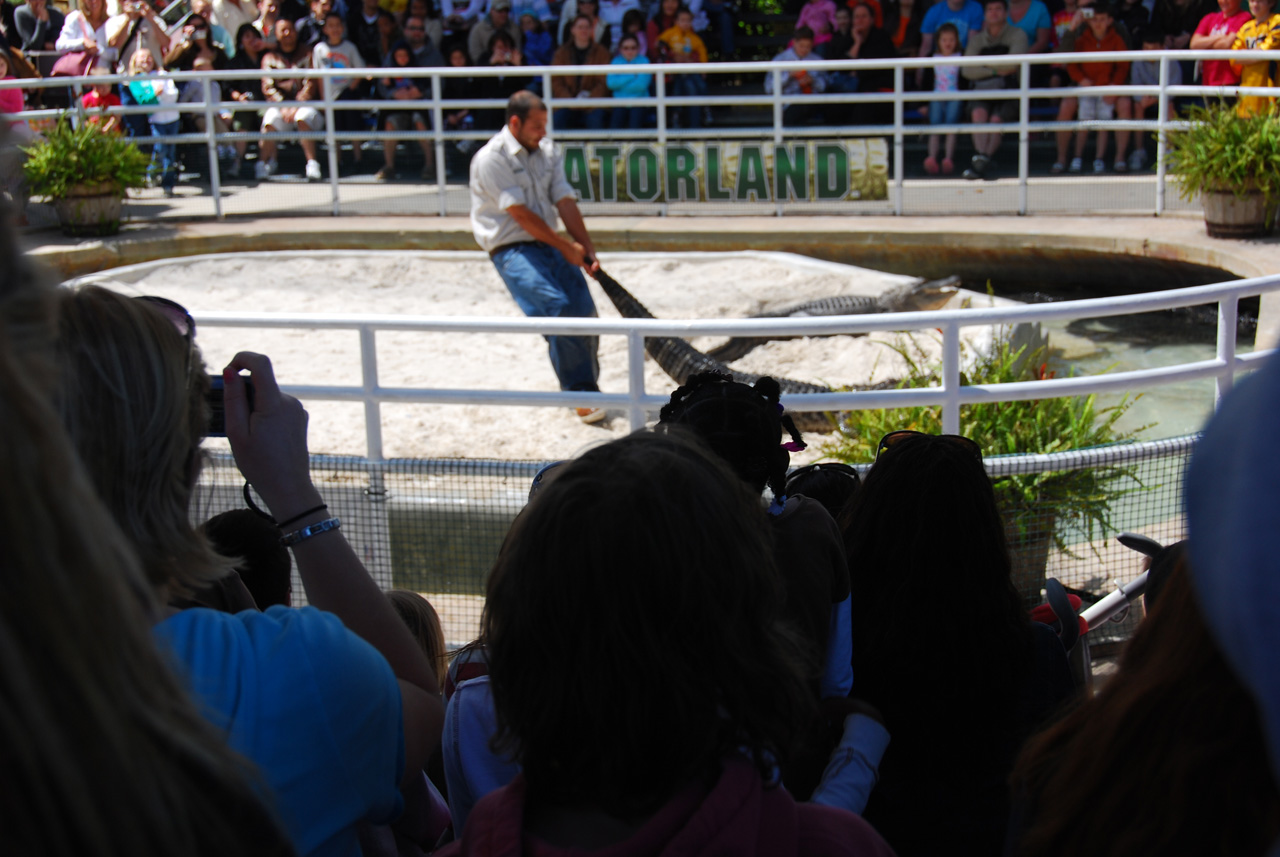 2009-04-07, 027, Gatorland, Florida