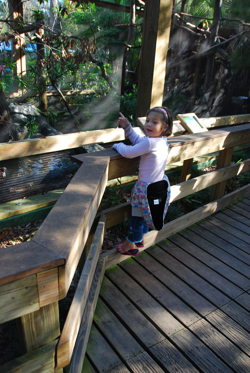 2009-12-30, 061, Kaitlyn at the Zoo, Florida