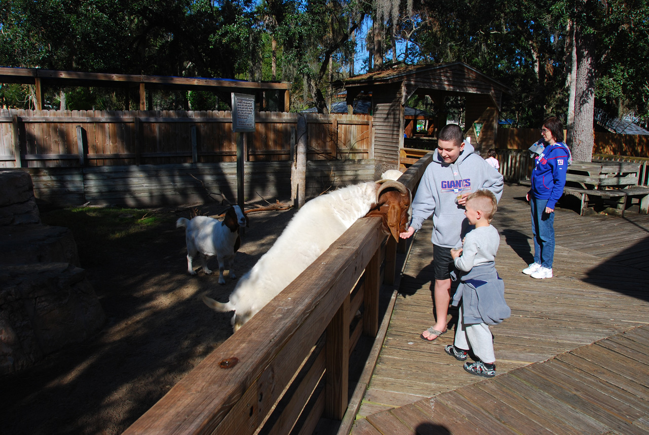 2009-12-30, 068, Mikey and Connor at the Zoo, Florida