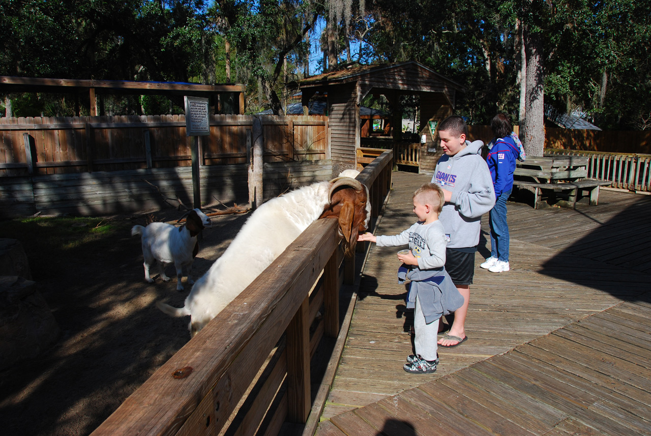 2009-12-30, 069, Connor and Mikey at the Zoo, Florida