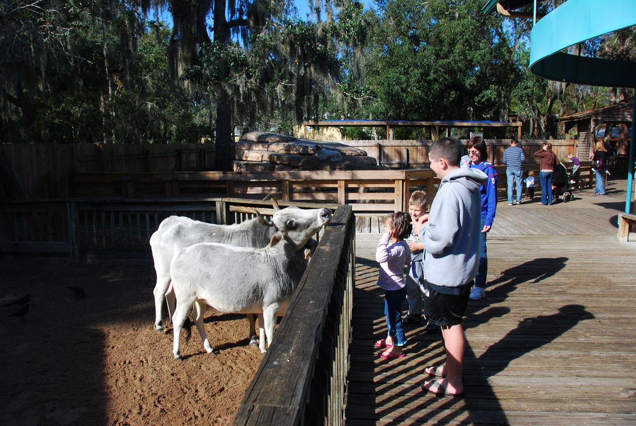 2009-12-30, 070, Kaitlyn, Connor and Mikey at the Zoo, Florida