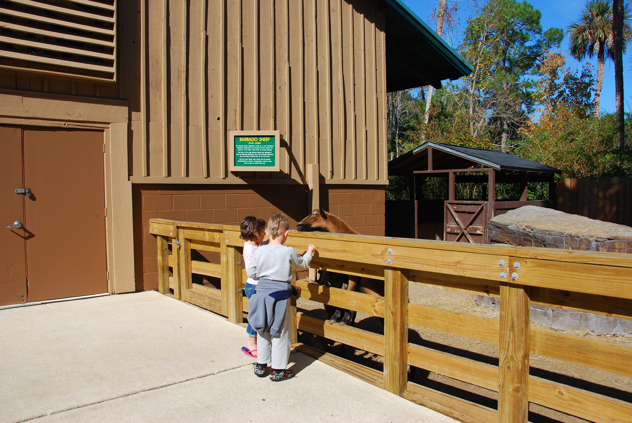 2009-12-30, 091, Kaitlyn and Connor at the Zoo, Florida