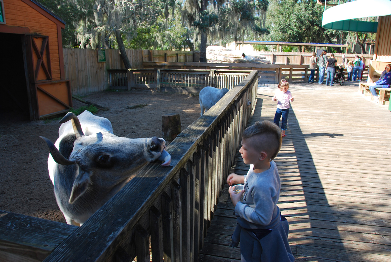 2009-12-30, 094, Kaitlyn and Connor at the Zoo, Florida