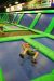 2010-04-08, 082, Rebounderz, Florida