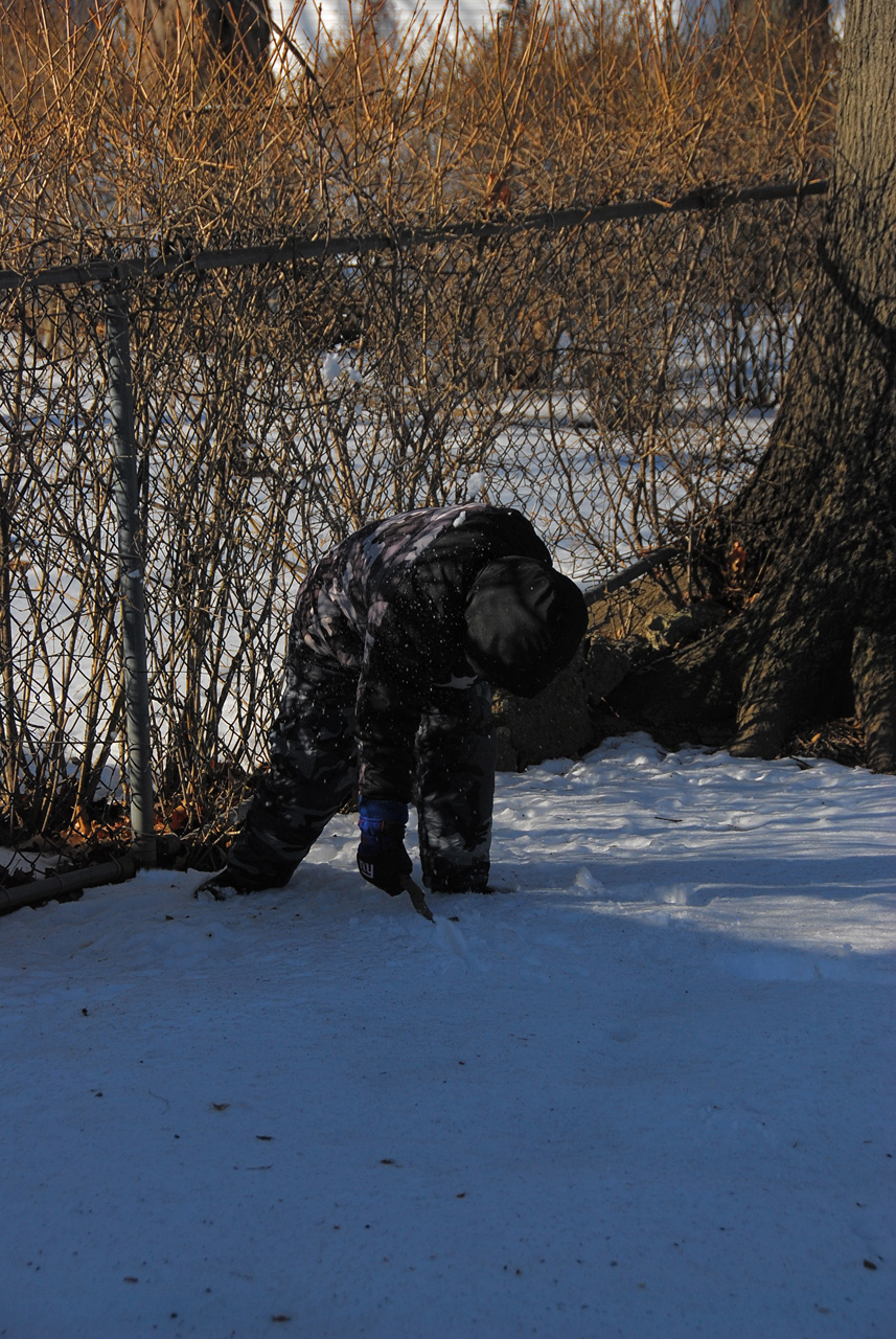 2011-01-07, 004, Connor in the snow, Saddle Brook, NJ