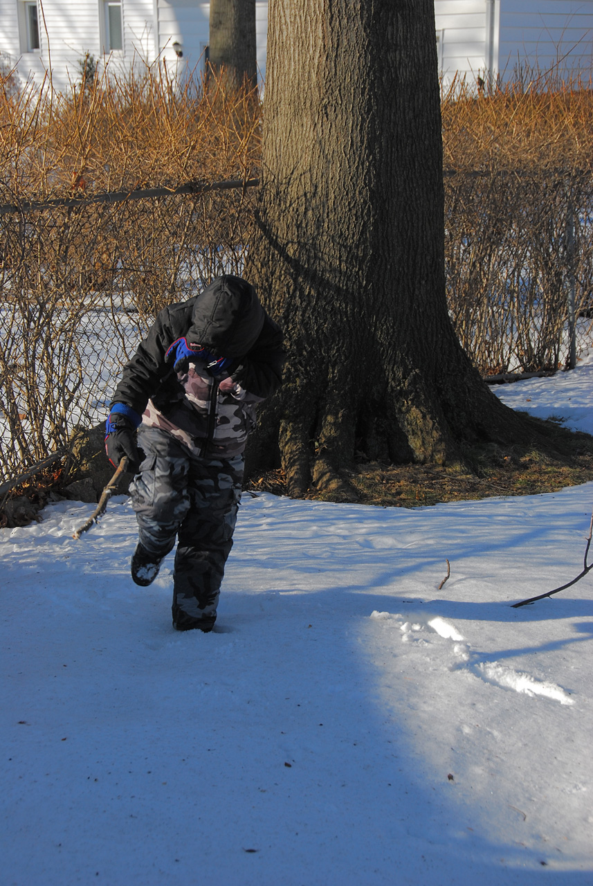 2011-01-07, 005, Connor in the snow, Saddle Brook, NJ