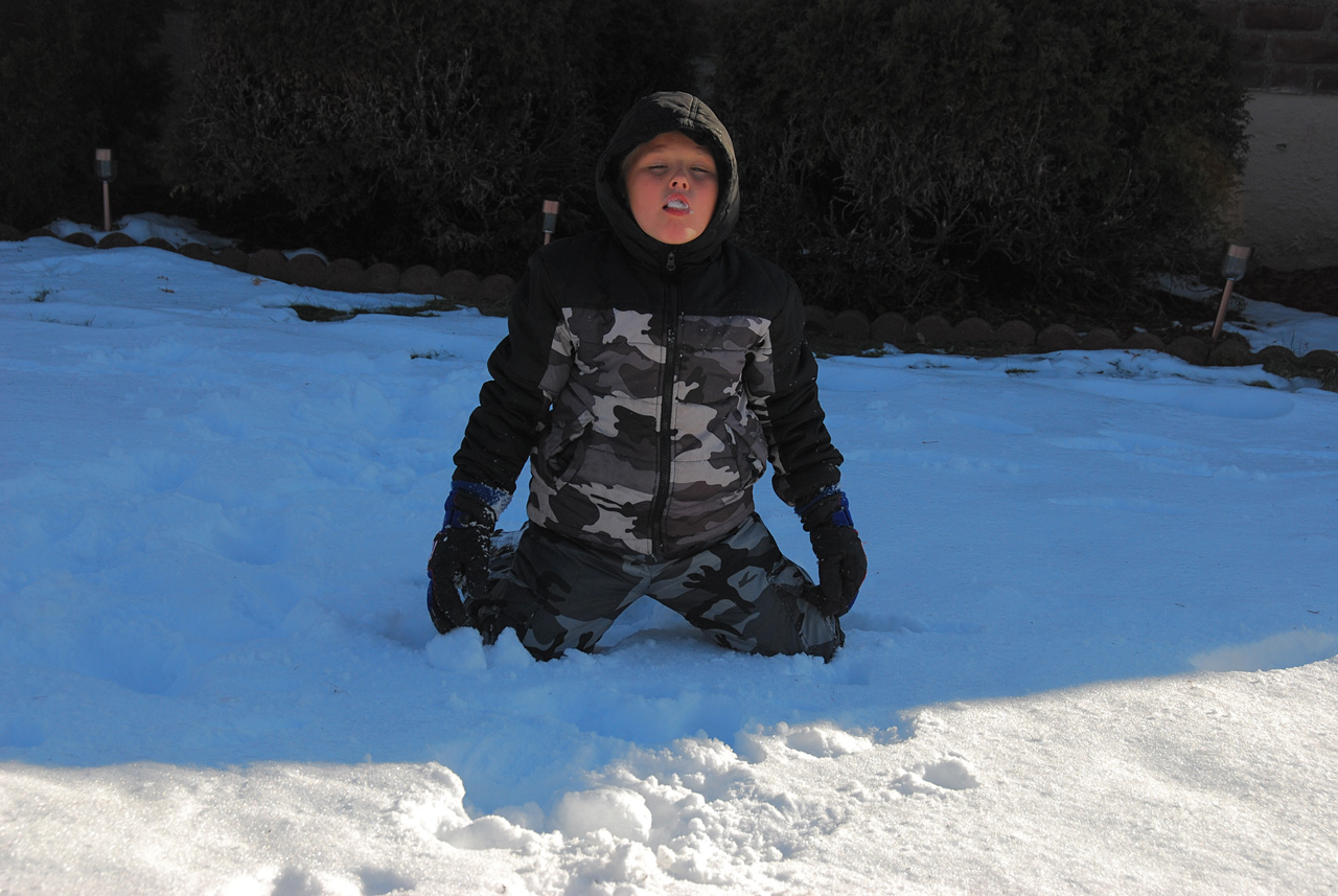 2011-01-07, 011, Connor in the snow, Saddle Brook, NJ