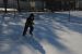 2011-01-07, 022, Connor in the snow, Saddle Brook, NJ