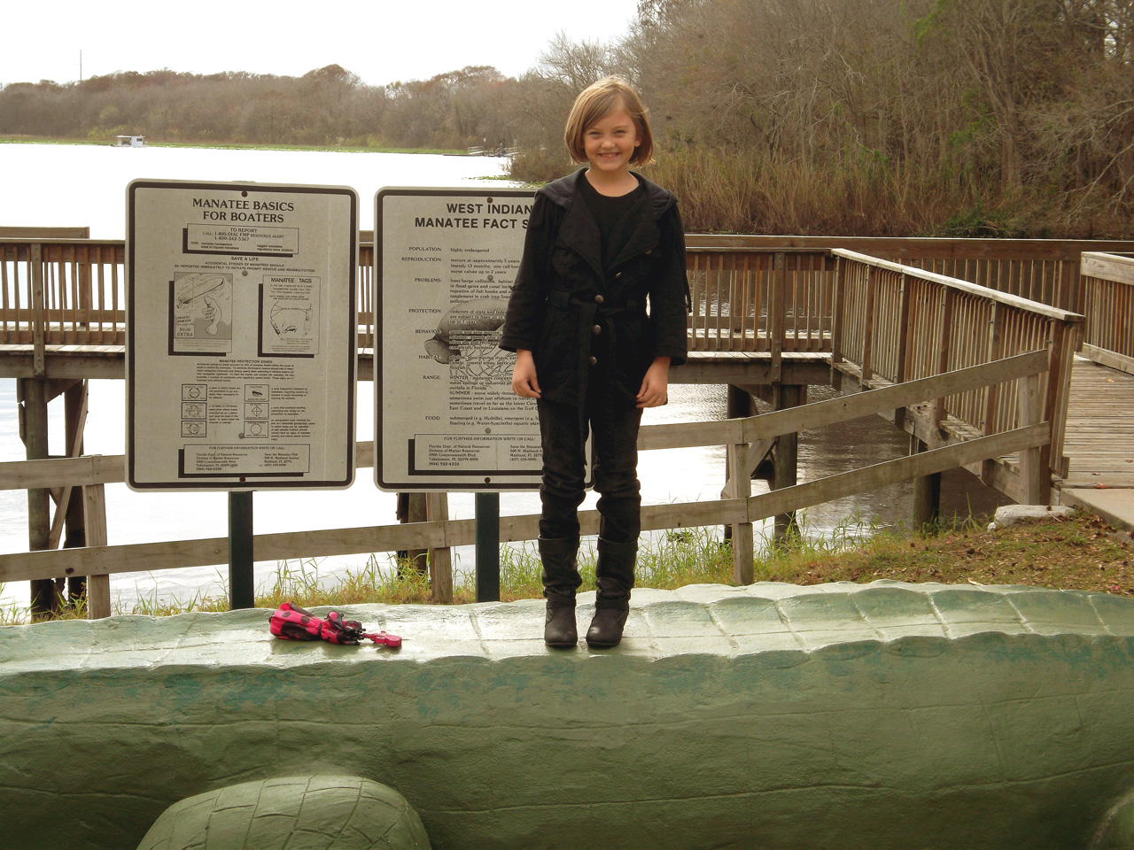 2013-01-07, 006, Izzie, Lake Monroe, FL