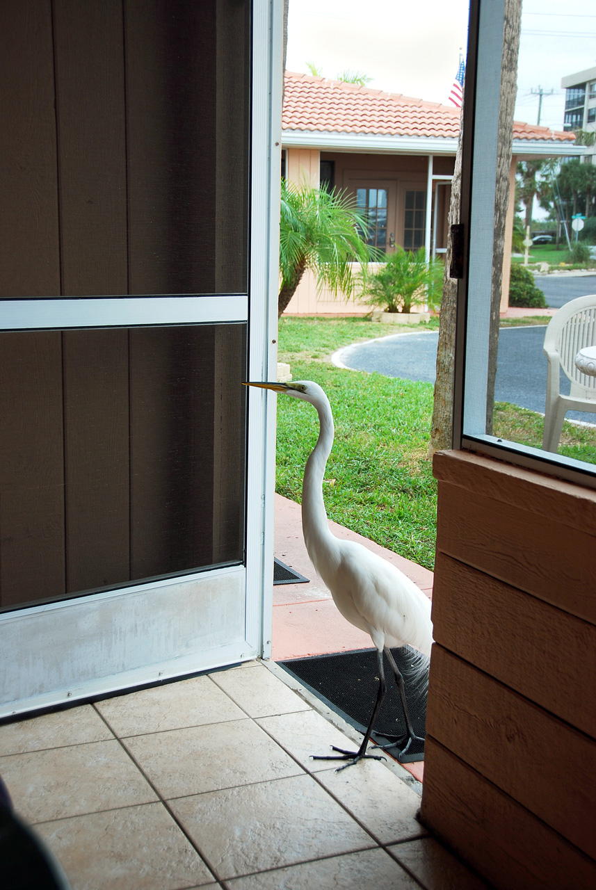 2014-01-01, 007, Janice & Mike, Sarasota, FL