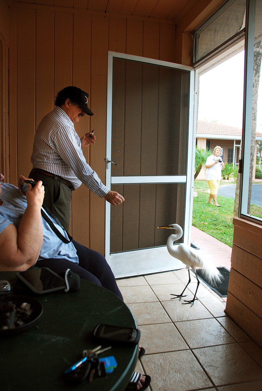 2014-01-01, 012, Janice & Mike, Sarasota, FL