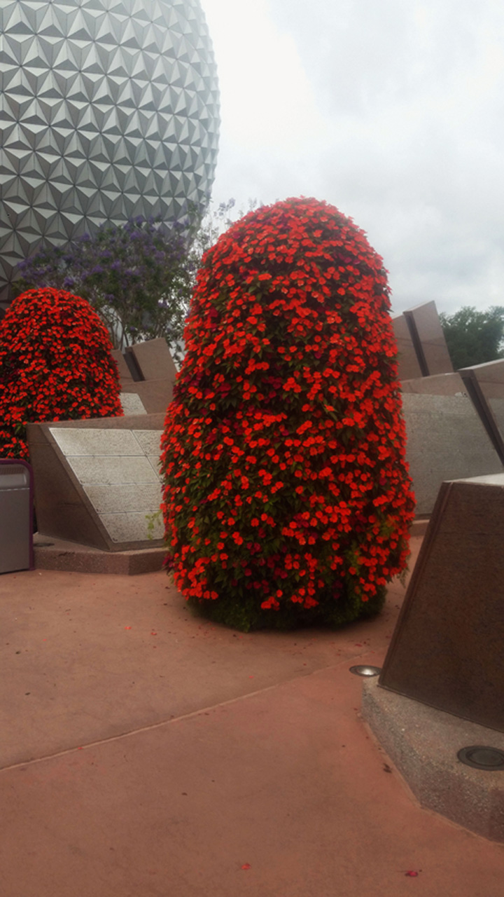 2017-05-23, 006, Epcot, linda and Janice