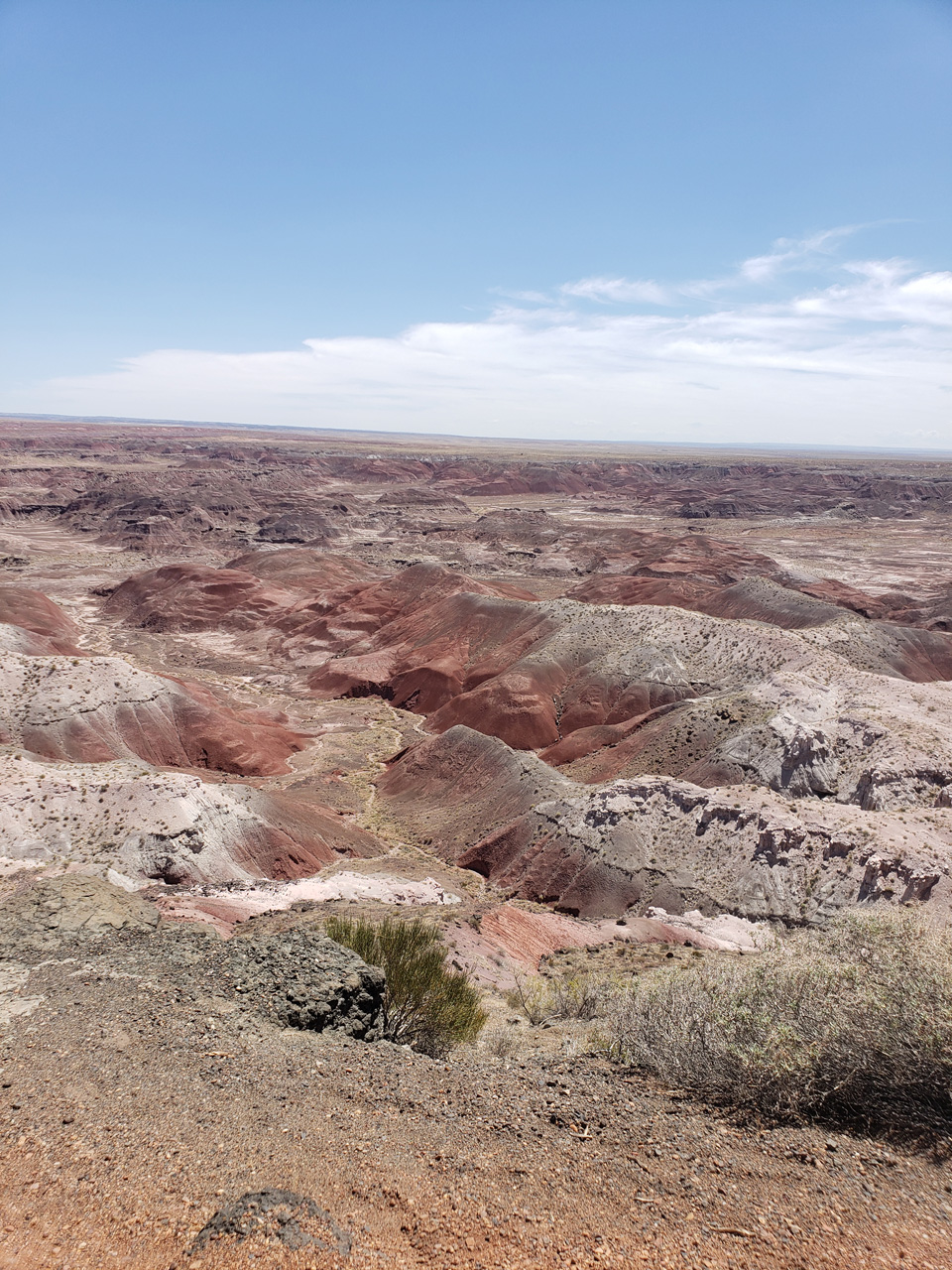 2022-06-20, 020, Connor at Petrified Forest