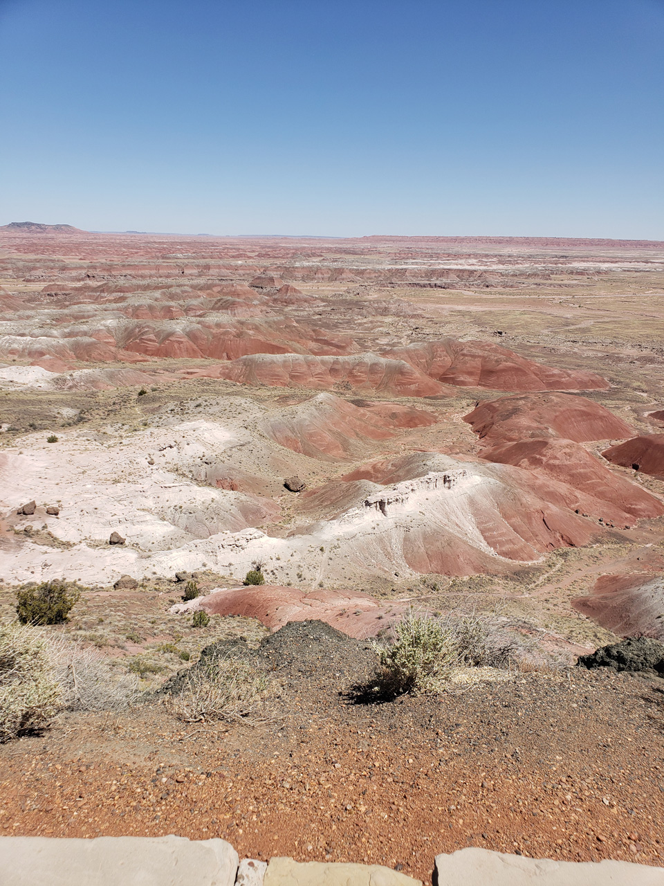 2022-06-20, 021, Connor at Petrified Forest