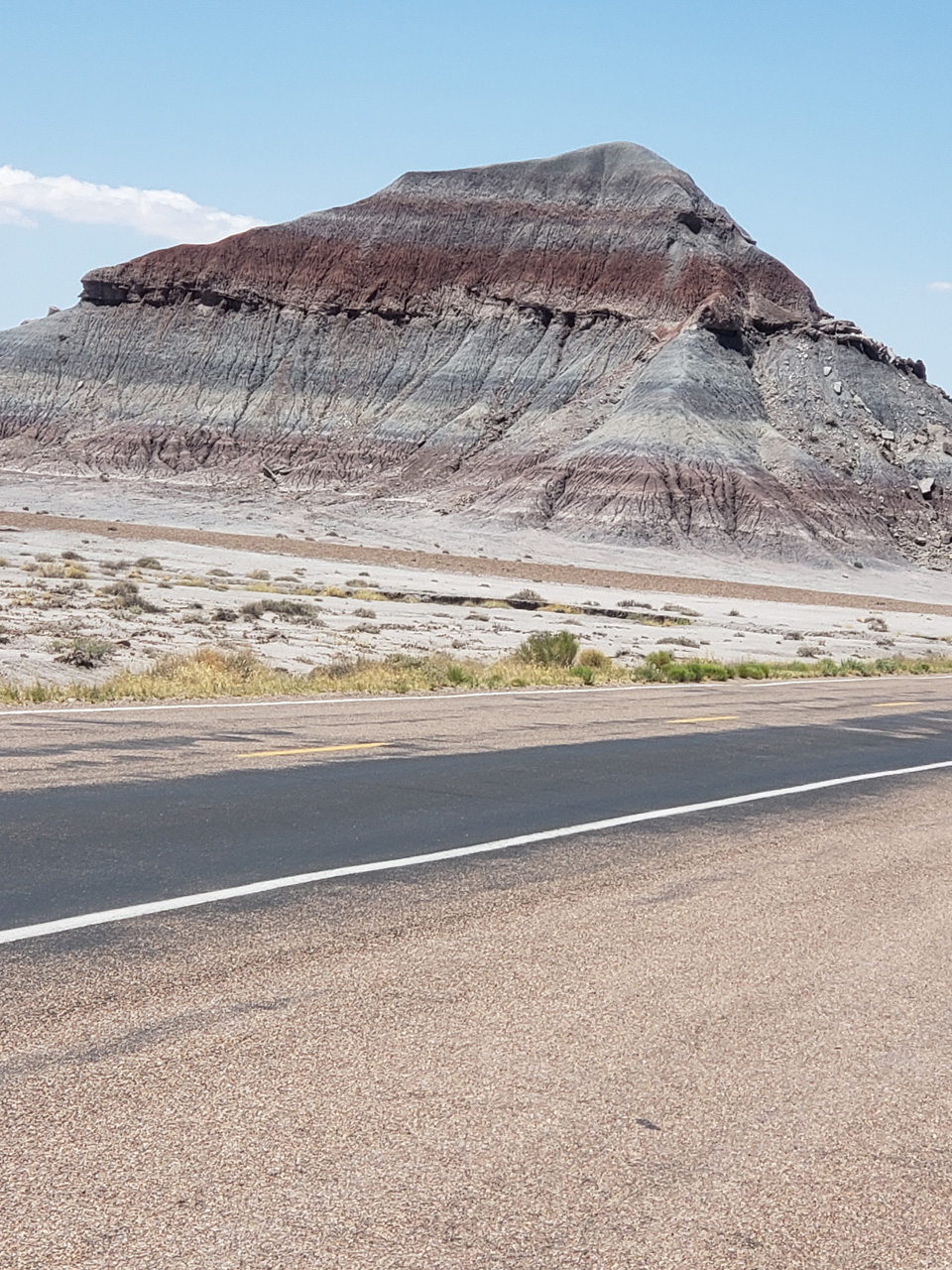 2022-06-20, 026, Connor at Petrified Forest