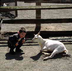 01-04-13, 20, Mikey with Goat, Turtle Back Zoo