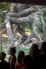 07-07-06, 134, Bronx Zoo, NYC