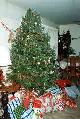 91-12-25, 00, Christmas Tree, Saddle Brook, NJ