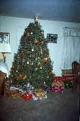 93-12-25, 16, Christmas Tree, Saddle Brook, NJ